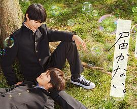 盘锦品牌网站优化价格